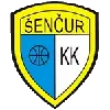 申丘尔KK