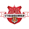 辽宁盛京新锐