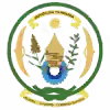 鲁西罗FC